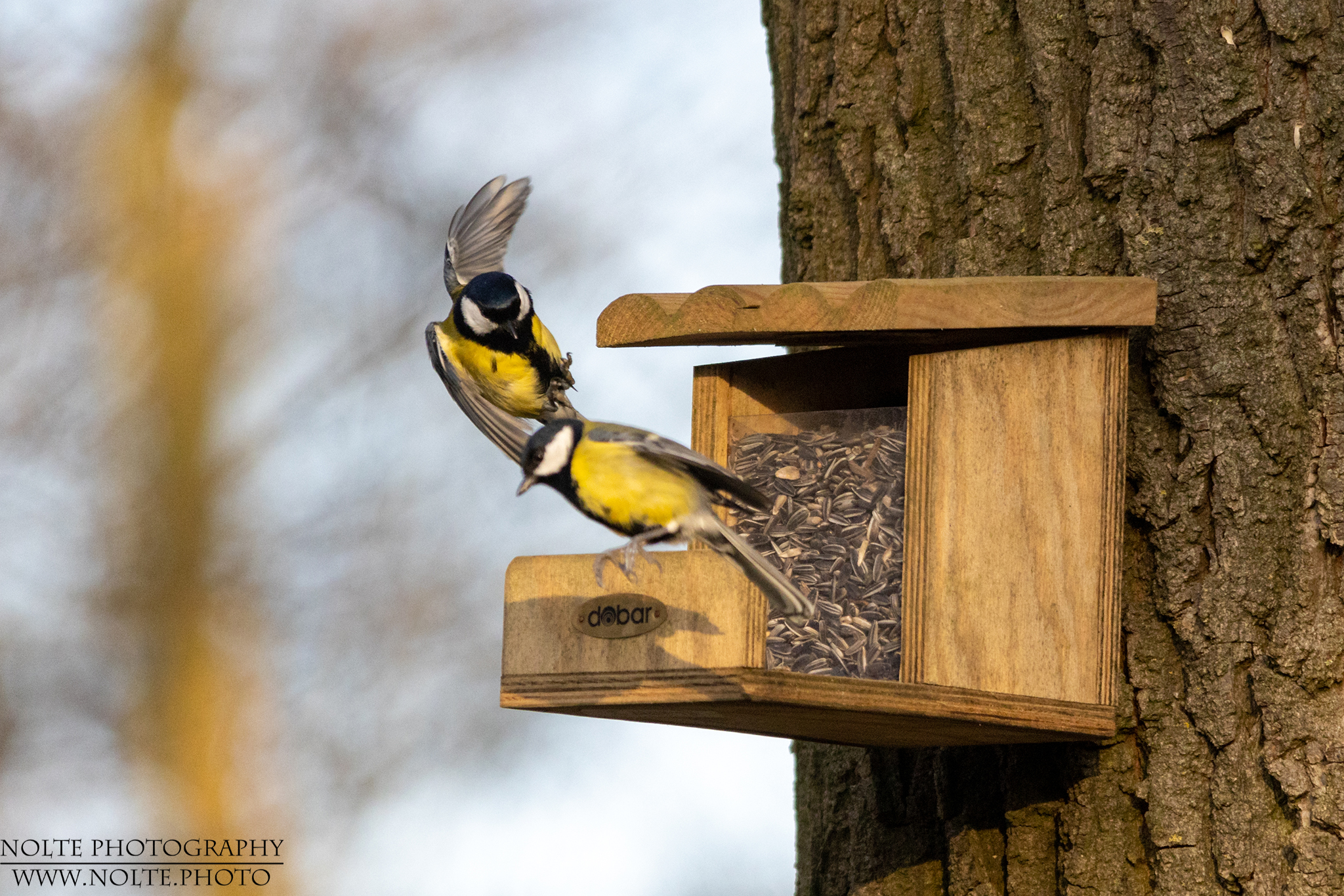 Könnte eine harte Landung werden...